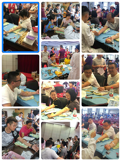 201707036686体育集团党总支参加无偿献血活动 (2).jpg
